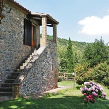 Villa il Leccio Country House rent in Umbria - External