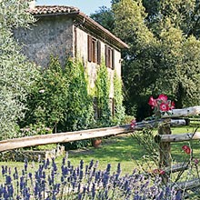 Villa il Leccio Country House rent in Umbria - Esterno